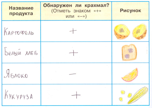 ГДЗ по окружающему миру 3 класс рабочая тетрадь Плешаков, страница 20, номер 2