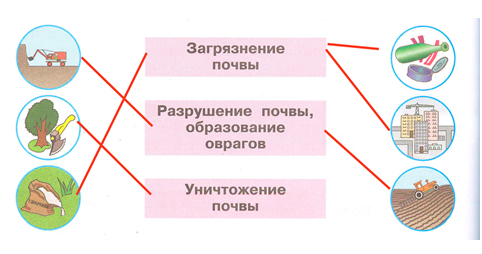 ГДЗ по окружающему миру 3 класс рабочая тетрадь Плешаков, страница 30, номер 7