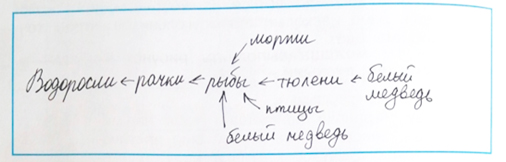 Рабочая тетрадь Плешаков 1 часть. Окружающий мир 4 класс. Страница 34. Задание 3