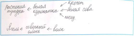 Рабочая тетрадь Плешаков 1 часть. Окружающий мир 4 класс. Страница 38. Задание 4