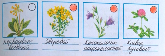 Рабочая тетрадь Плешаков 1 часть. Окружающий мир 4 класс. Страница 71. Задание 3