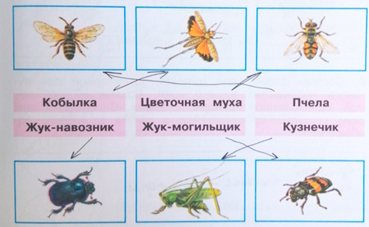 Рабочая тетрадь Плешаков 1 часть. Окружающий мир 4 класс. Страница 71. Задание 4
