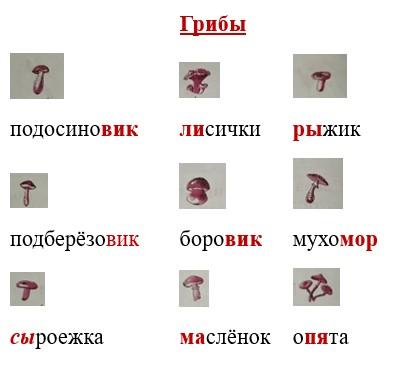 Ответ к рабочей тетради по русскому языку 1 класс Канакина, Горецкий. Номер 1, страница 16. Год 2025.