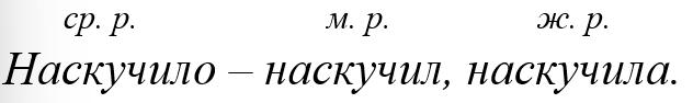 Русский язык 4 класс - Русский язык 4 класс. Рабочая тетрадь 2 часть. Страница 43, номер 97. Канакина. 2024 год.